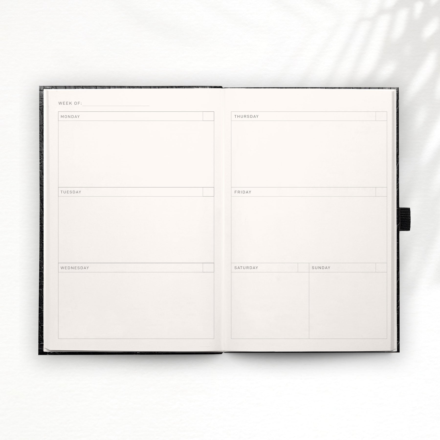 Premade Dotted Doodle Journal : Make Planning Fun with This Undated Monthly  and Weekly Planner (Hardcover) 